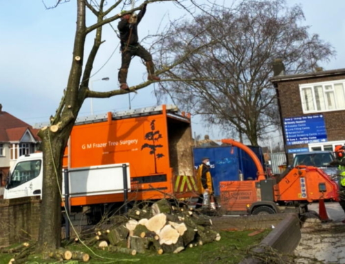 Sectional Felling