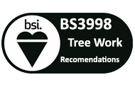 bsi Recommendations Tree Surgeons