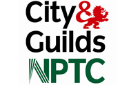 NPTC Qualified Tree Surgeons